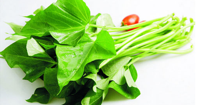 時(shí)光(guāng)與匠(jiàng)心打造的(de)味道(dào)——老(lǎo)壇紅(hóng)薯葉 時(shí)光(guāng)與匠(jiàng)心打造的(de)味道(dào)——老(lǎo)壇紅(hóng)薯葉